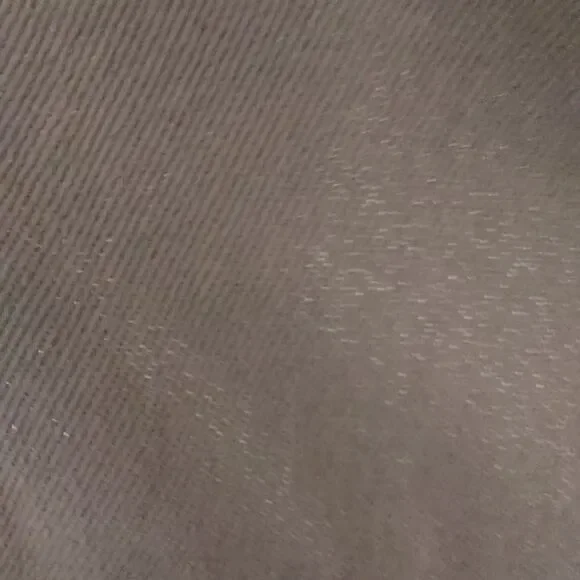 AREOPOSTLE SHIMMERY PANTS  - Picture 3 of 8